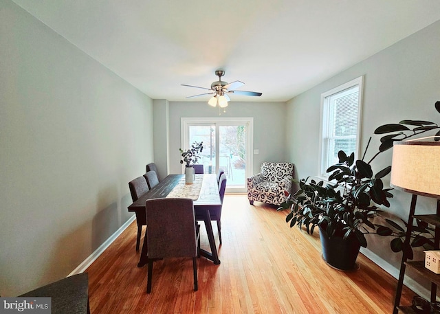 dining room featuring ceiling fan and hardwood / wood-style floors