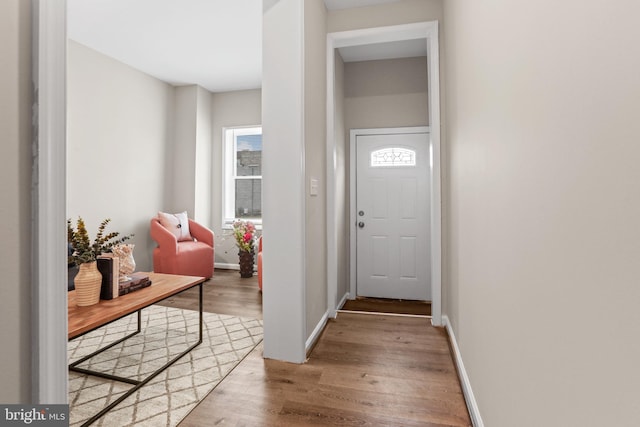 foyer with hardwood / wood-style flooring