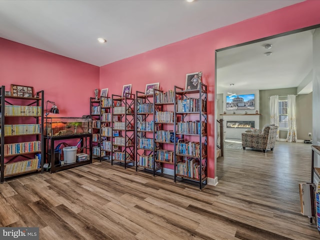 interior space featuring wood-type flooring