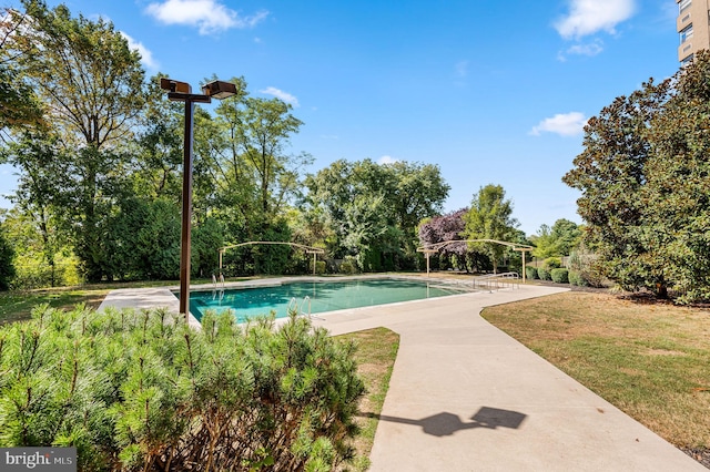 view of pool featuring a yard