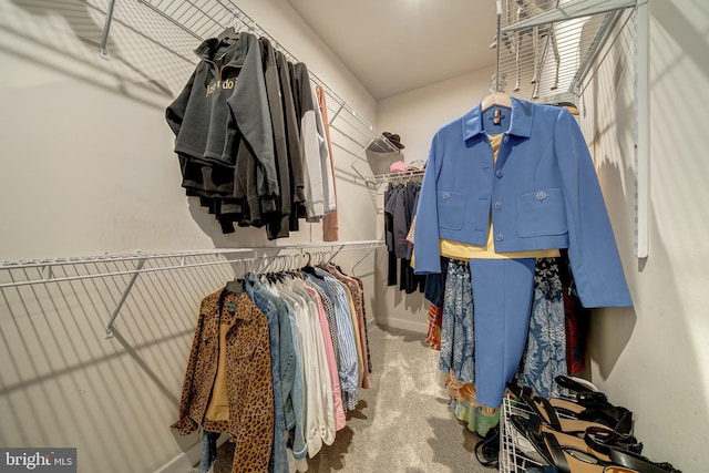 spacious closet with carpet flooring