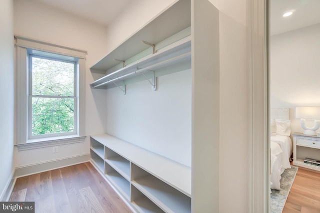 walk in closet with light hardwood / wood-style flooring