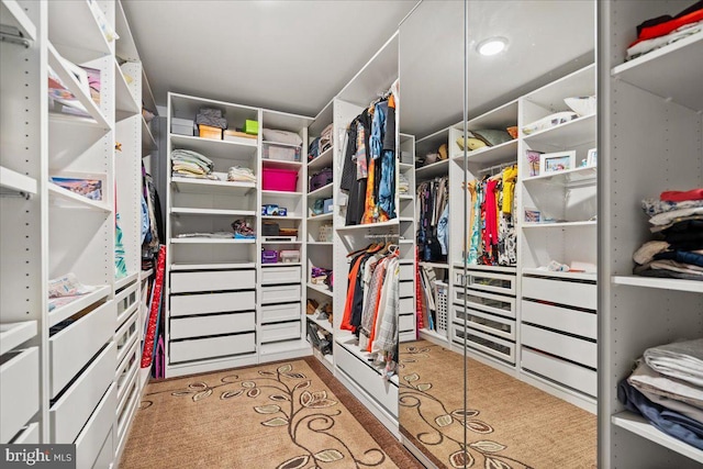 view of walk in closet