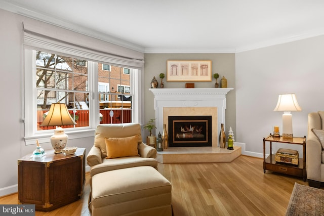 living area featuring light hardwood / wood-style flooring, crown molding, and a premium fireplace