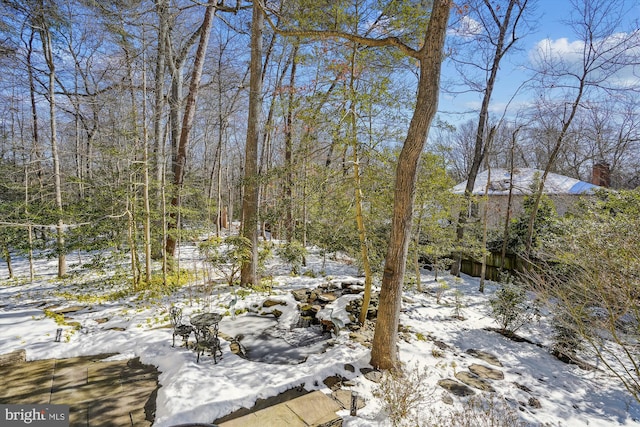 view of snowy yard