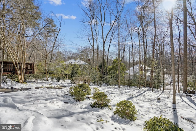 view of yard covered in snow