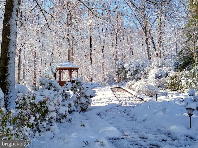 view of yard layered in snow