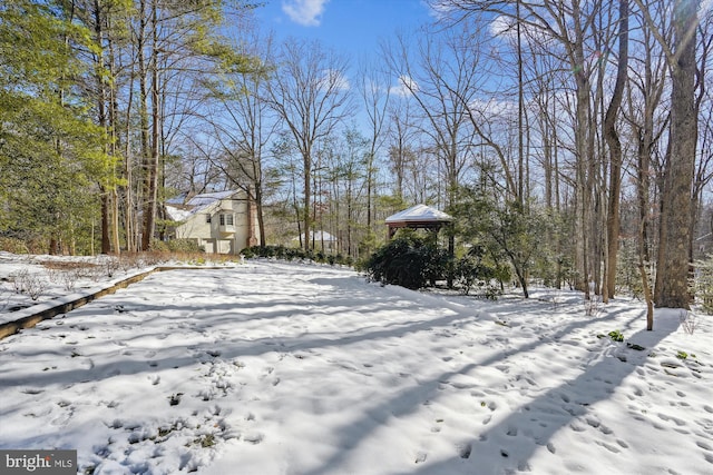 view of yard covered in snow