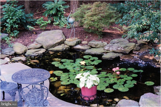 details with a garden pond