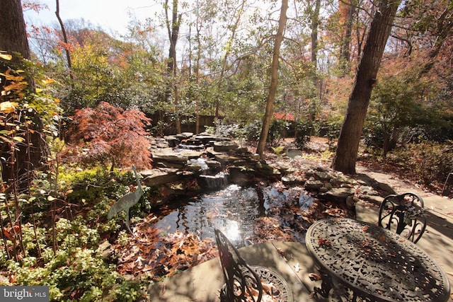 view of local wilderness