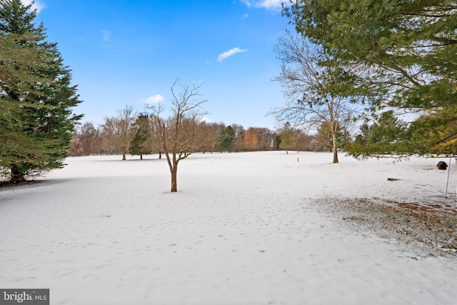 view of snowy yard