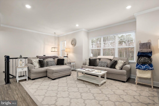 living room with wood-type flooring and ornamental molding