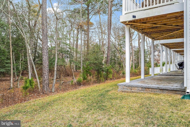 view of yard featuring a patio area