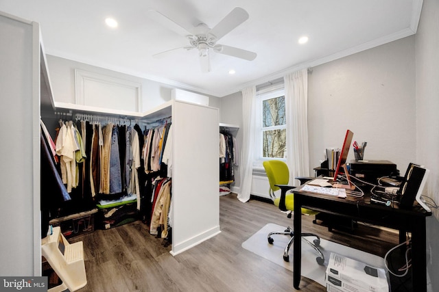 office with light wood-type flooring, ceiling fan, and ornamental molding