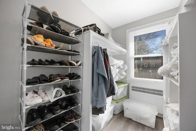 spacious closet with light hardwood / wood-style flooring and radiator