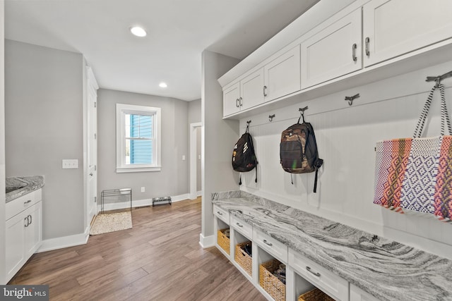 mudroom with dark hardwood / wood-style flooring