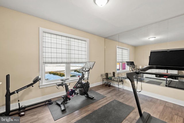 workout room featuring hardwood / wood-style floors