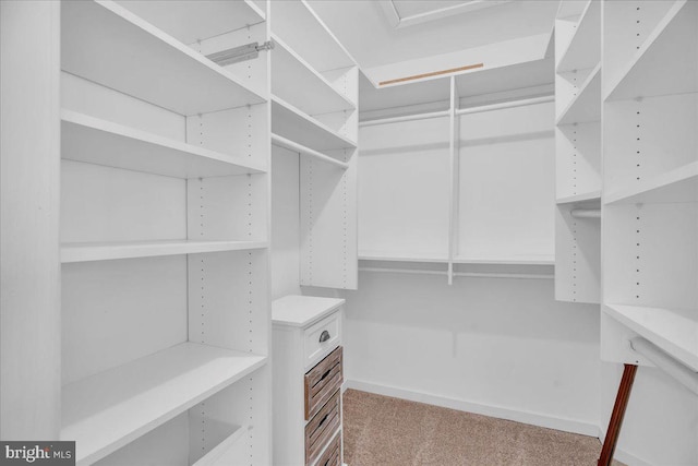 spacious closet featuring light carpet