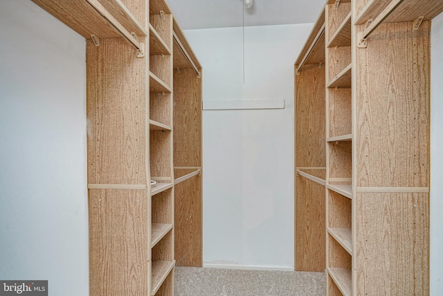 view of spacious closet