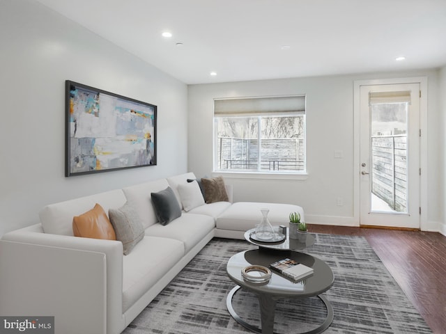 living room with wood-type flooring and a healthy amount of sunlight