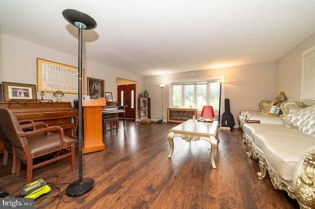 living room with dark hardwood / wood-style flooring