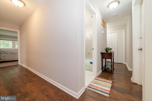 hall featuring dark hardwood / wood-style floors