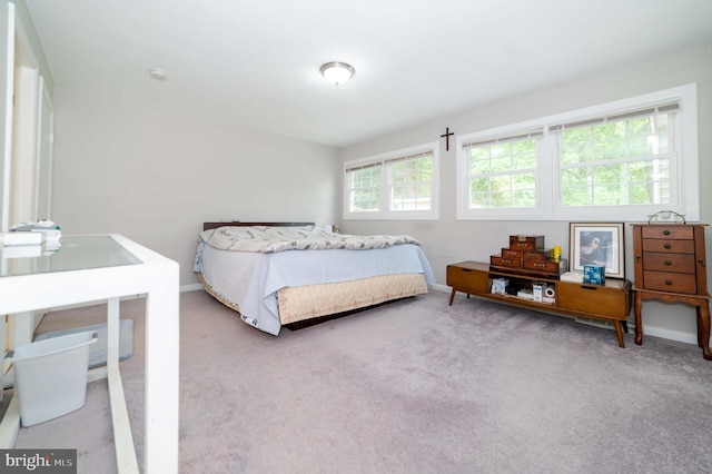 bedroom with carpet flooring and multiple windows