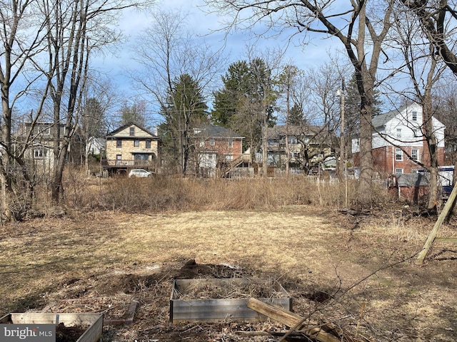 view of yard with a garden