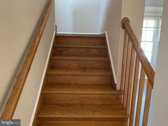 staircase featuring ornamental molding