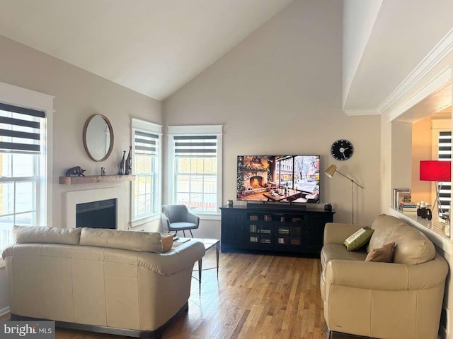 living room with hardwood / wood-style floors and high vaulted ceiling