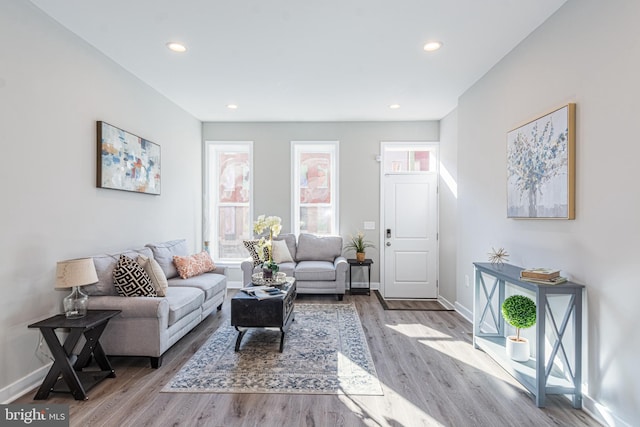 living room featuring light hardwood / wood-style flooring