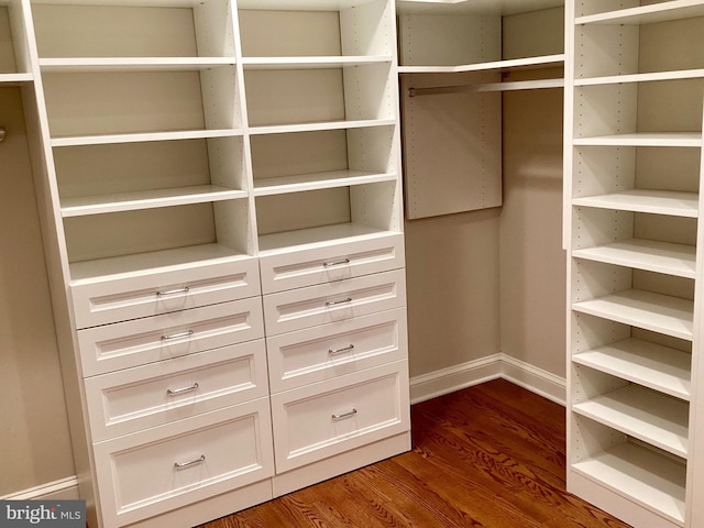 walk in closet with hardwood / wood-style flooring