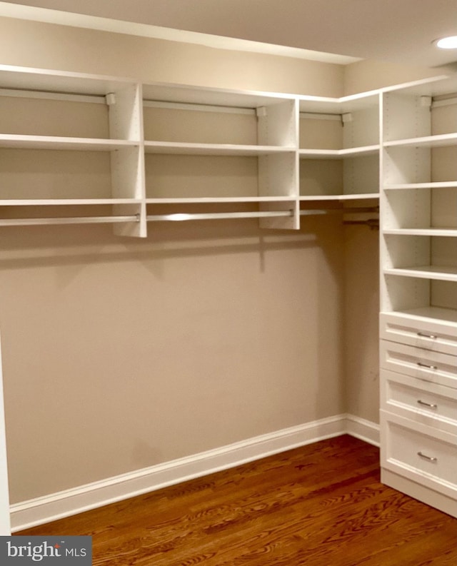 spacious closet featuring hardwood / wood-style floors