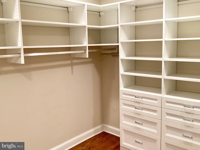 spacious closet with hardwood / wood-style floors