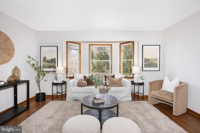 living area featuring baseboards and wood finished floors