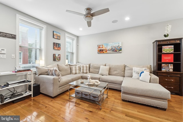 living room with ceiling fan and light hardwood / wood-style flooring