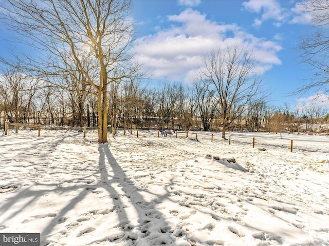 view of snowy yard