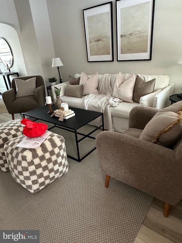 living room featuring hardwood / wood-style flooring