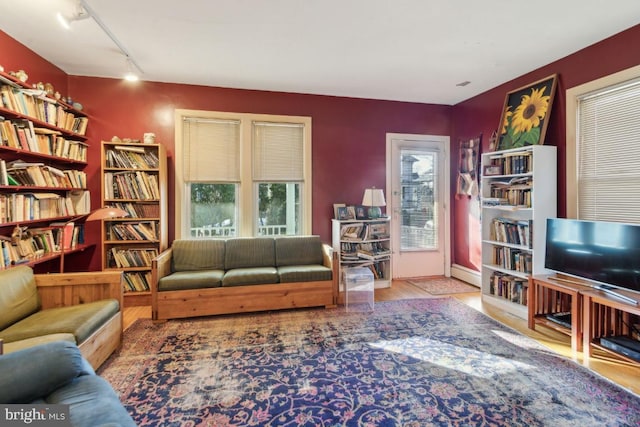 living room with rail lighting and light hardwood / wood-style flooring