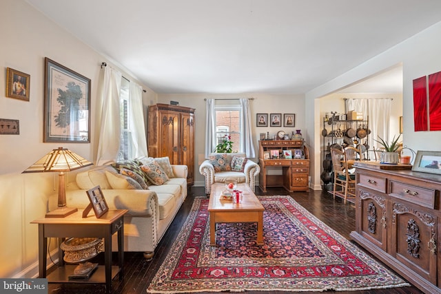 living room featuring dark hardwood / wood-style floors