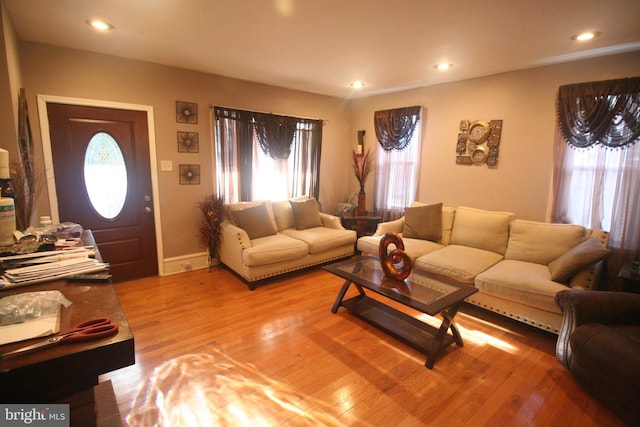 living room featuring hardwood / wood-style floors and a healthy amount of sunlight