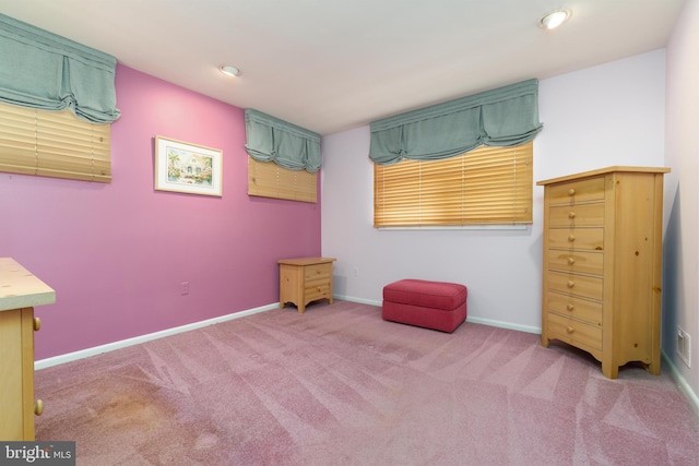 bedroom featuring carpet flooring