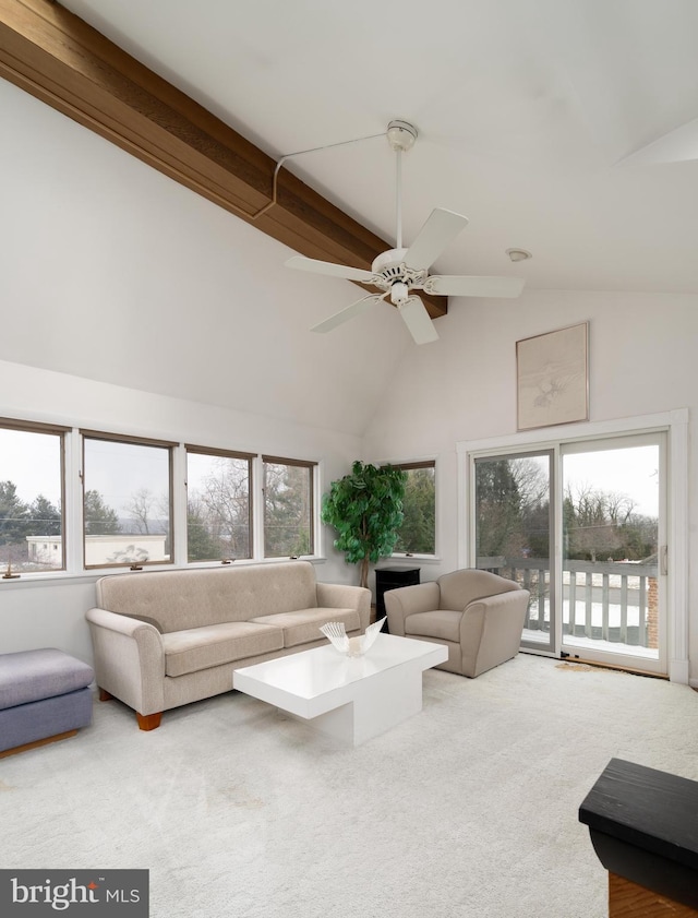 living room with carpet flooring, ceiling fan, beam ceiling, and high vaulted ceiling