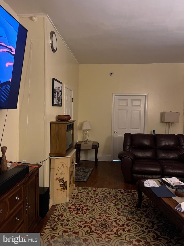 living room with dark wood-type flooring