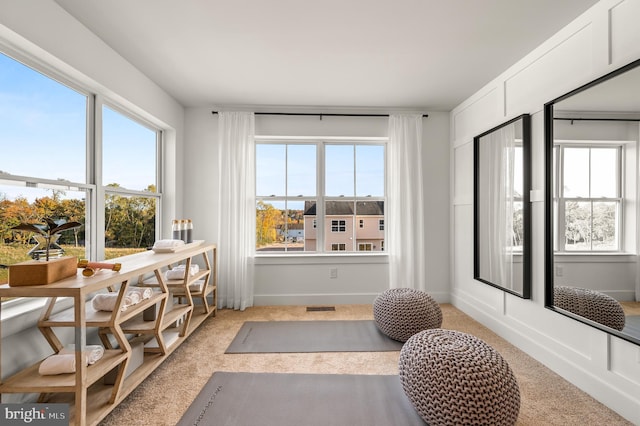 workout area featuring light colored carpet and a wealth of natural light