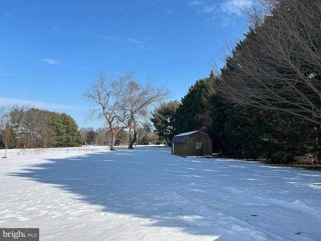 yard covered in snow featuring a storage unit