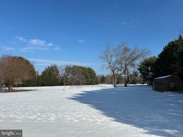 yard covered in snow with an outbuilding