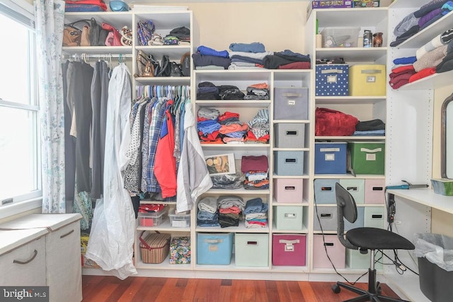 interior space with hardwood / wood-style flooring