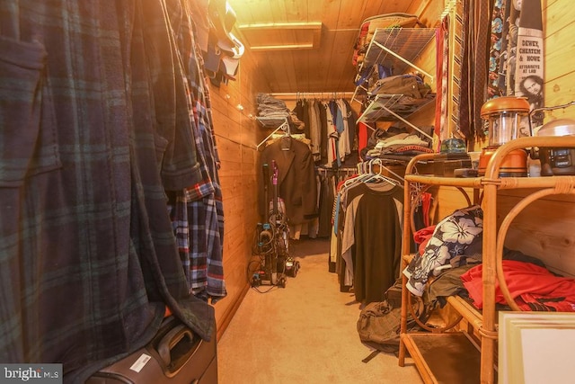 spacious closet with light colored carpet