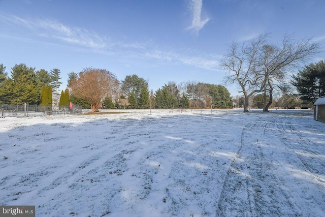 view of yard layered in snow